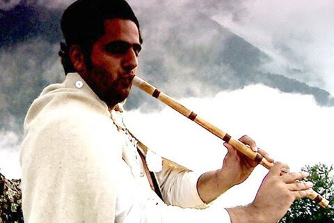 آرمین فریدی تالشی